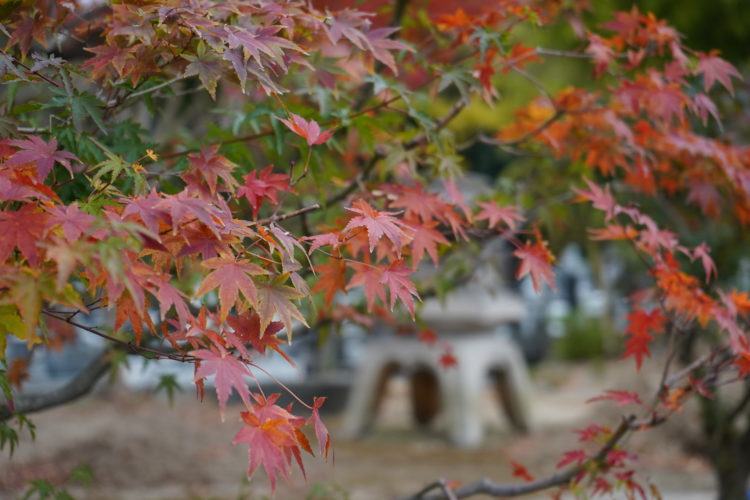 『いわき時空散走フェスティバル2025秋』内郷・好間ツアー