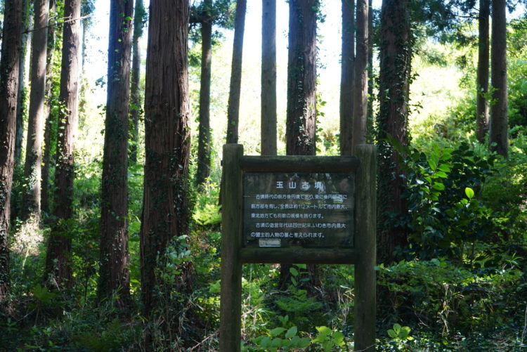 大野・玉山ツアー（2026春）